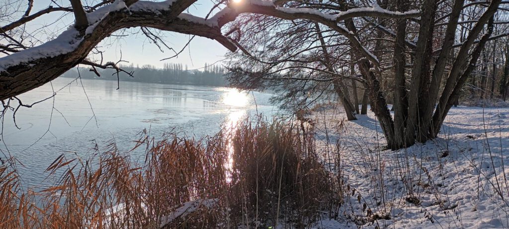 Blick auf die vereiste Havel